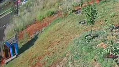 Atualização: Casinha de cachorro é devolvida