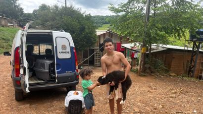 Prefeitura de Xanxerê dá continuidade às castrações de cães fêmeas