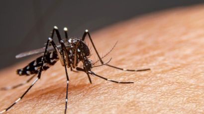 Xanxerê registra primeiro caso de dengue importada do ano