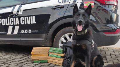 Polícia Civil de Xanxerê apreende mais de 10kg de drogas