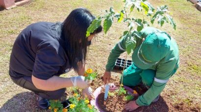 Adote o Verde: projeto de arborização é realizado na EMEB Janete Cassol