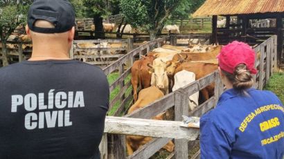 Operação policial identifica irregularidades sanitárias em rebanho bovino