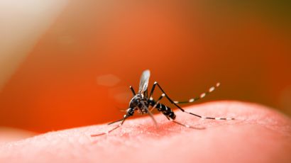 Xanxerê registra mais um caso de dengue importado