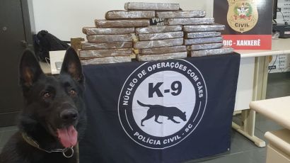 Polícia Civil apreende 15kg de maconha no Terminal Rodoviário de Xanxerê