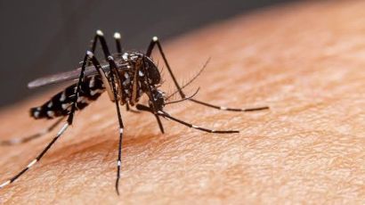 Xanxerê registra mais dois casos de dengue importado