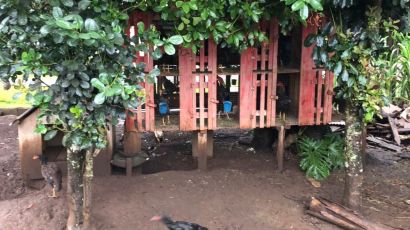 Polícia Civil de Xanxerê realiza apreensões em local de rinha de galo