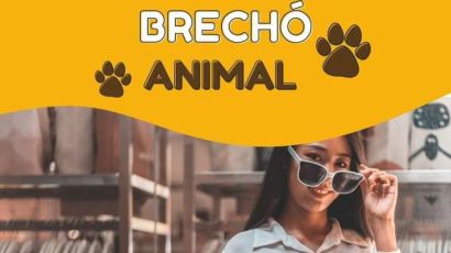 Grupo Bem-Estar Animal realiza Brechó Animal em maio