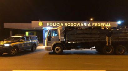 PRF apreende camarão contrabandeado na BR-282, em Xanxerê