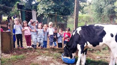 Cemei Novo Horizonte realiza projeto de interação com animais