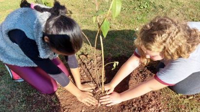 Meio Ambiente: Plantio de mudas de árvores é realizado no Loteamento Bem Morar II