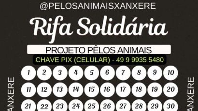 Projeto Pêlos Animais realiza rifa solidária