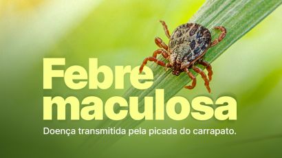 Dive esclarece casos de febre maculosa em SC