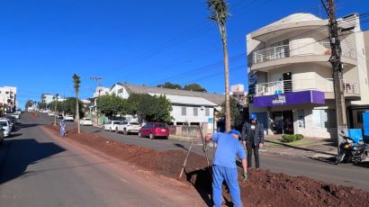 Secretaria de Meio Ambiente inicia plantio de palmeiras na rua General Osório