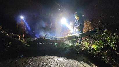 Temporal causa queda de árvore em Xaxim durante a madrugada