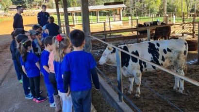 Escola de Xanxerê organiza experiências externas para alunos da educação infantil