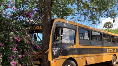 Ônibus escolar colide contra árvore no município de Xaxim e deixa várias crianças feridas