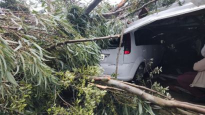 Temporais causam danos em 15 municípios da Regional de Xanxerê