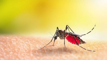 Em sete meses, SC já registrou mais casos de dengue do que em 2022