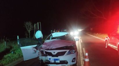 Mulher fica ferida após animal solto causar acidente em Ponte Serrada