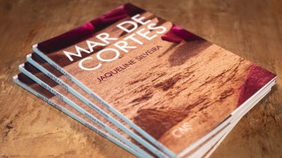 Escritora Jaqueline Silveira lança livro “Mar de Cortes” em Xanxerê