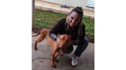 Ativista de Xanxerê realiza Ação Entre Amigos em prol da causa animal