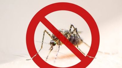 Abelardo Luz realiza mutirão de coleta visando eliminar focos da dengue
