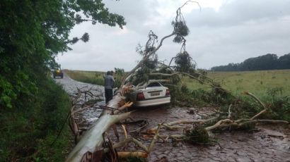 Homem morre após carro em que estava ser atingido por árvore durante temporal no Oeste