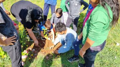 Secretaria de Meio Ambiente fará plantio de árvores para comemorar Dia da Árvore
