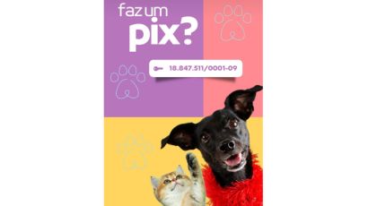 Bem-Estar Animal promove mais uma edição do Pix do Real