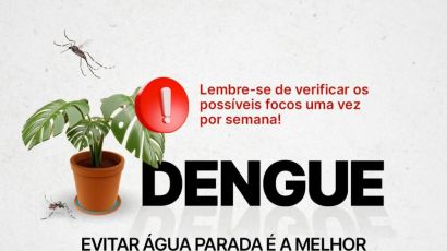 Saúde orienta sobre os cuidados com a dengue no feriado de Finados
