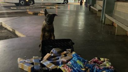 Polícia Civil apreende 25 kg de entorpecentes na rodoviária de Xanxerê