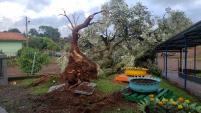 FOTOS: Temporal causa estragos no município de Xanxerê na noite desta quinta-feira