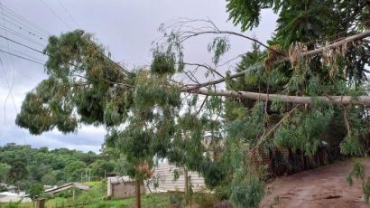 Dcelt divulga comunicado sobre falta de energia em Xanxerê e Xaxim após temporal