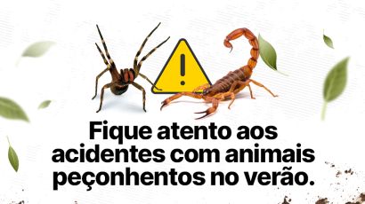 Dive alerta para aumento de acidentes com animais peçonhentos