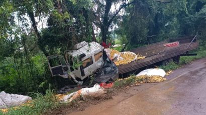 Saída de pista seguida de colisão em árvore deixa feridos na SC-155