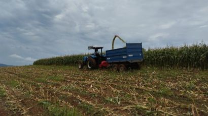 Secretaria de agricultura de São Domingos inicia silagem para produtores rurais