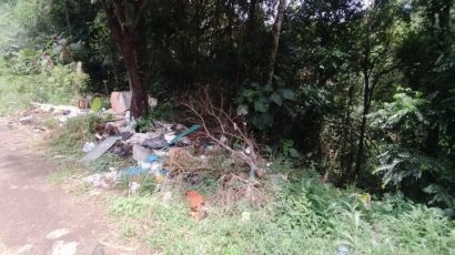 Descarte irregular de lixo é registrado na SC-155, em Xanxerê