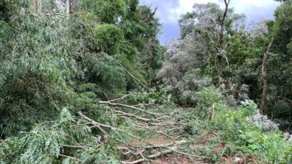 Xanxerê decreta situação de emergência em razão do temporal