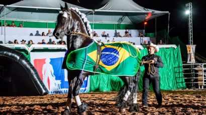 ExpoFemi 2024 promete um espetáculo inesquecível através do rodeio