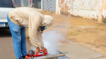 Prefeitura de Xanxerê fará ação para combater o mosquito da dengue